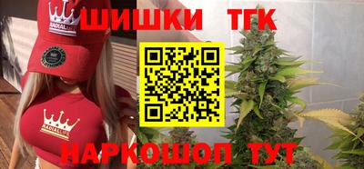 гидропоника Сланцы