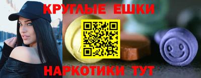 гидропоника Сланцы
