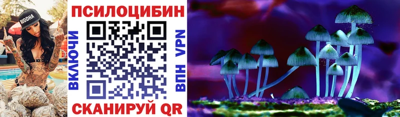 купить наркоту  Элиста  Псилоцибиновые грибы мухоморы 