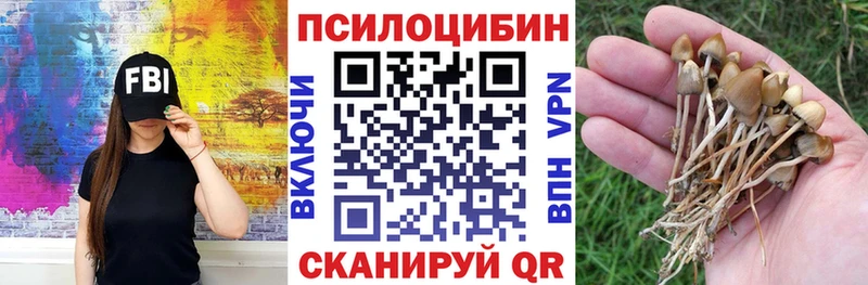 Псилоцибиновые грибы Cubensis Элиста