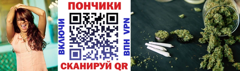 Бошки марихуана индика  Элиста 